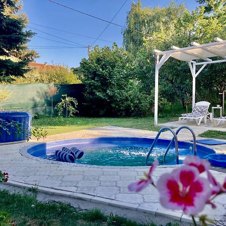 White House With Sauna And Jacuzzi Novi Sad Exterior photo