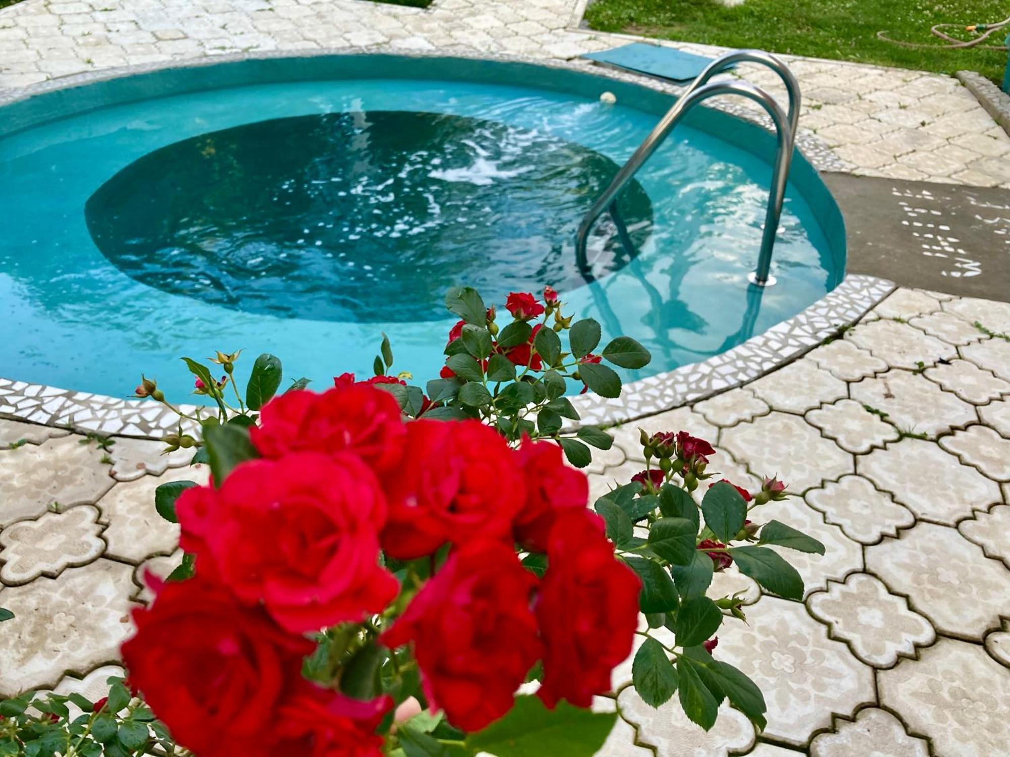 White House With Sauna And Jacuzzi Novi Sad Exterior photo