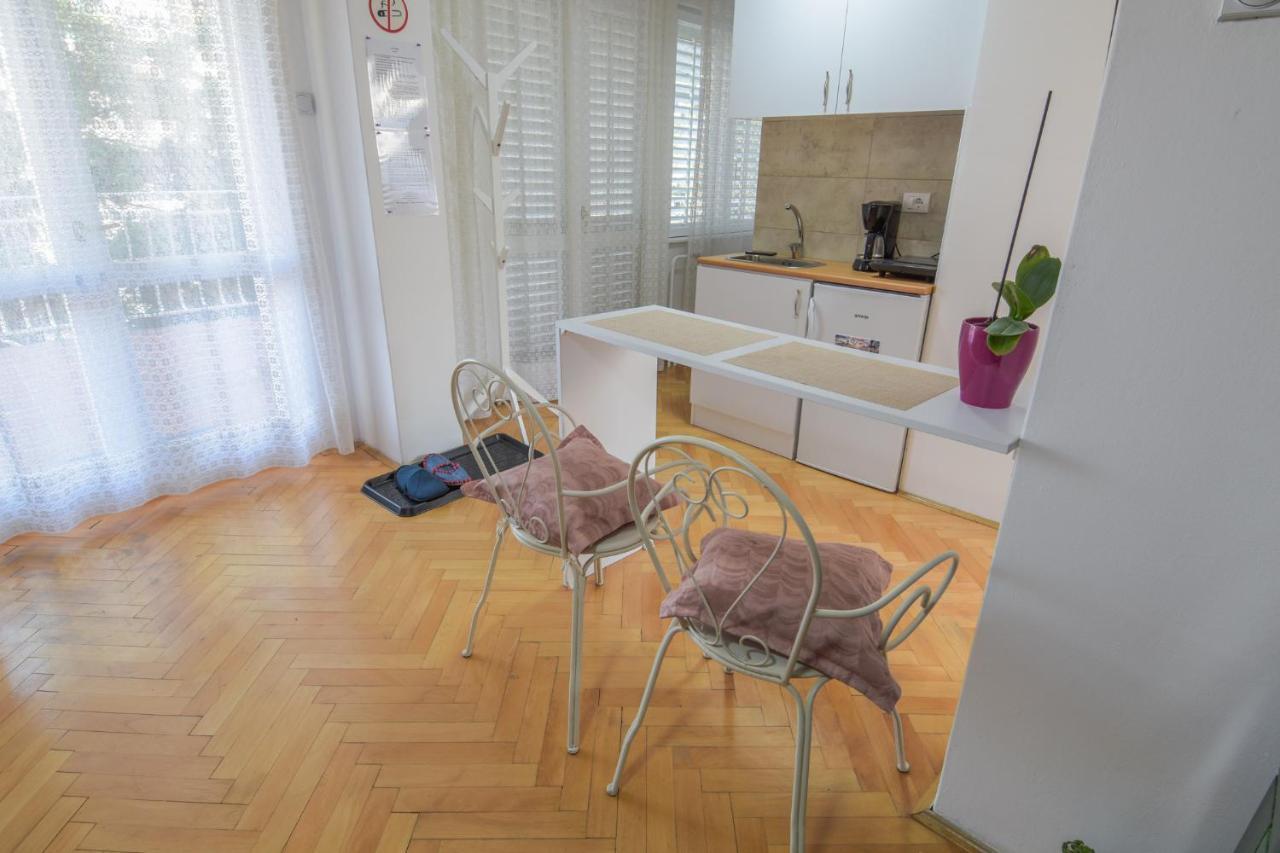 White House With Sauna And Jacuzzi Novi Sad Exterior photo